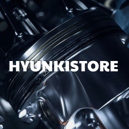 hyunkistore.com